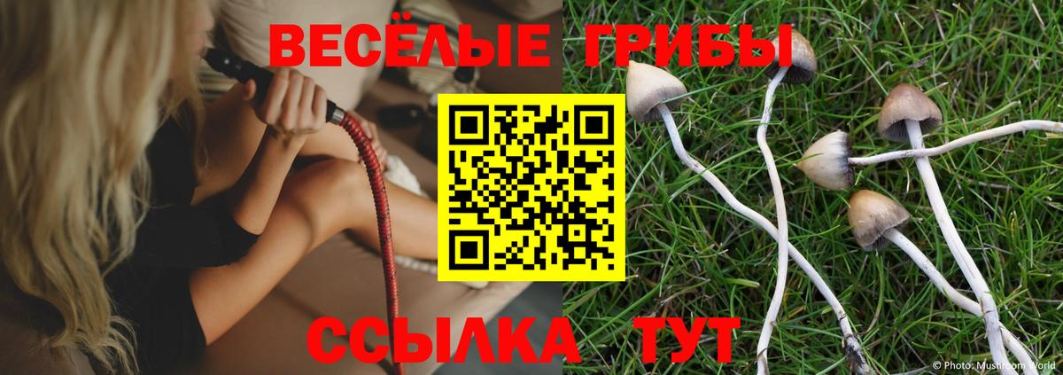 Нарткала  Псилоцибиновые грибы ЛСД  Псилоцибиновые грибы Psilocybe  Вход с VPN 
